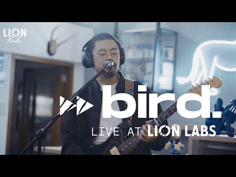 bird.: Live at Lion Labs (Full Set)