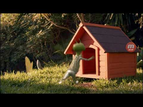 Ailen TV Reboot Yakko Wakko & Dot Vomits on Stuff And The Floor