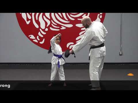 JKA Karate Kihon Class with Sensei Marcus Hinschberger | 5th Dan JKA