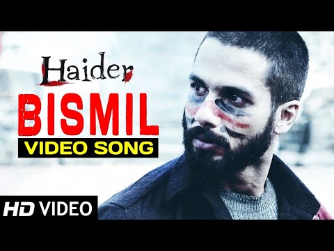 Video Clip 2 — Haider