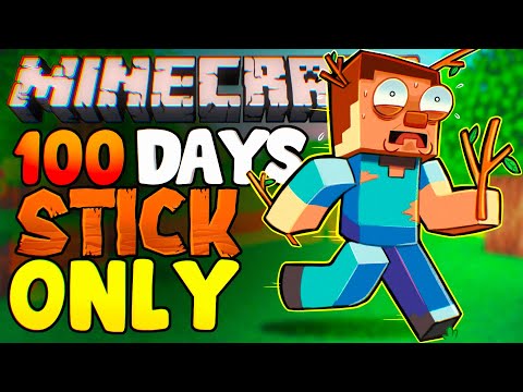 Insane Challenge: 100 Days Surviving in Minecraft with Just a Stick!