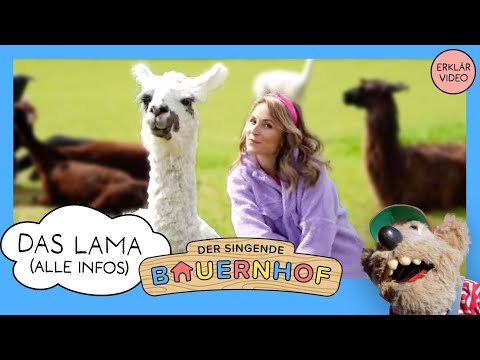 Das Lama – Alle Infos | Tierdoku für Kinder von «Der singende Bauernhof»