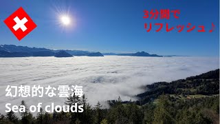 【スイス暮らしVlog】3分間で気分転換☆｜ 幻想的な雲海✦11月の風物詩｜Beautiful sea of clouds｜Rigi｜Swiss vlog