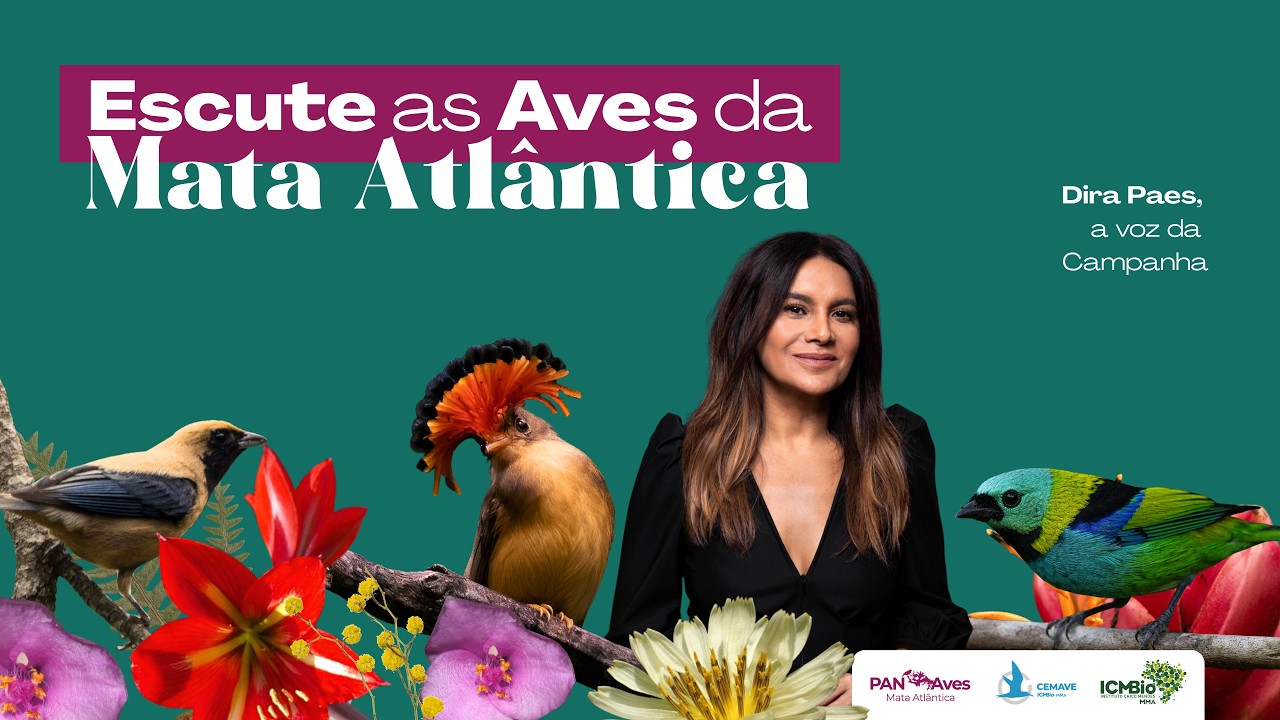 Filme Manifesto - Escute as Aves da Mata Atlântica