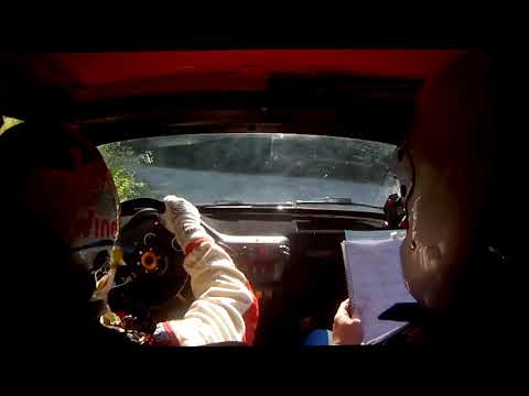 2'RALLY DI SALSOMAGGIORE 2019 CAPELLI G. - MAGNAVACCHI A. - 106 N2 PS8