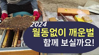 2024. 월동없이 깨운벌 한번 보실까요!