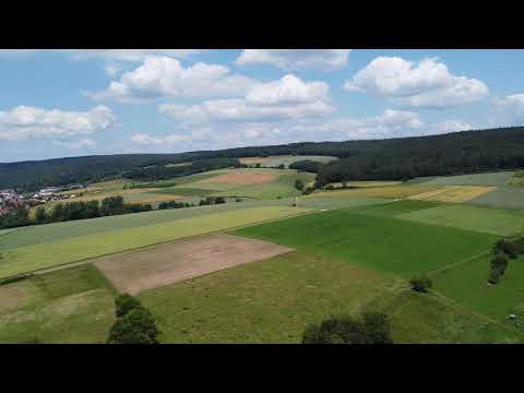 Gerloser Wald Fulda Niesig