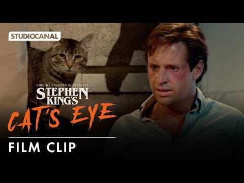 Thumbnail of the video: Clip