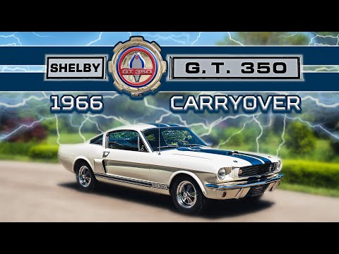 Video: 1966 Shelby GT350 'Carryover'