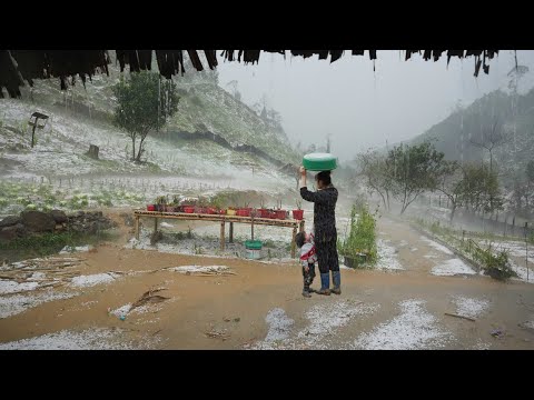 Hailstorm's Unexpected Disaster! The Entire Mountain Farm Was Destroyed In A Moment | EP. 38