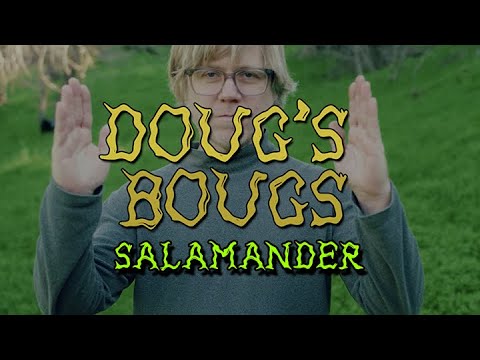 Dougs Buggs
