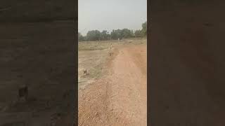  Residential Plot for Sale in Remuna, Baleswar