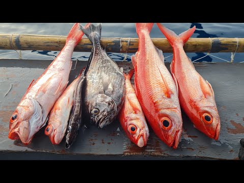 EP718-P3 - Nakarami ng Huli | From Ocean to Plate