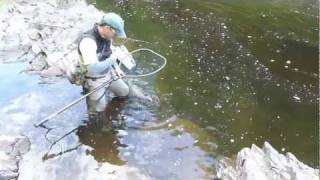 preview picture of video 'Salmon fly fishing on the River Findhorn, Scotland.'