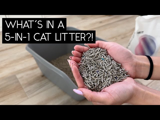 PETKIT 5 IN 1 MIXED CAT LITTER REIVEW / SVEN AND ROBBIE