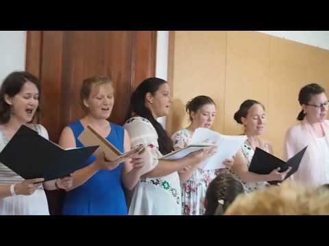 Willaert: Sempre mi ride sta