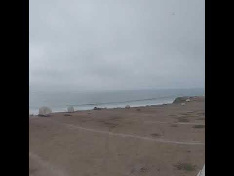 download lagu mp3 mp4 Surf Chex, download lagu Surf Chex gratis, unduh video klip Surf Chex