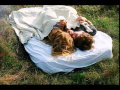 Reyli barba - Alma gemela 