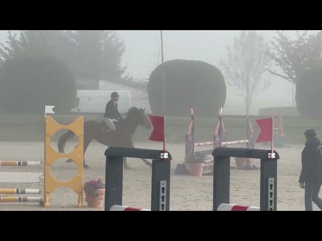 Jument 5 ans hyper amateur pour 135mini