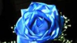 Una Rosa Blue -Gloria Trevi