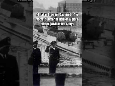 16 Italian Frogmen Captured – The Secret Submarine Raid on Algiers Harbor (WWII Ambra Story)