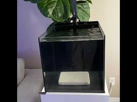 Waterbox Peninsula 7225 Setup Build and Progression