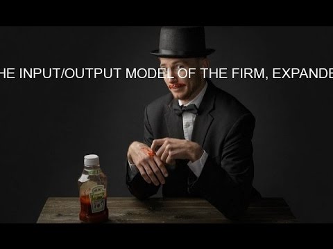 THE INPUT/OUTPUT MODEL OF THE FIRM, EXPANDED