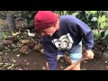 permaculture compost system