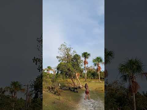 passeio até o Rio Giramundo no rio em Silves Amazonas.#foryou #fyyyyyyyyyyyyyyyyyyyyyyyyyyyyyyyyyy