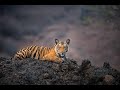 Wild Karnataka Trailer