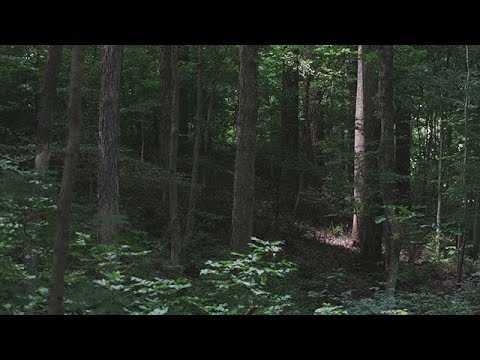 Joseph Smith Lecture 1: The First Vision and Its Aftermath | Truman G. Madsen