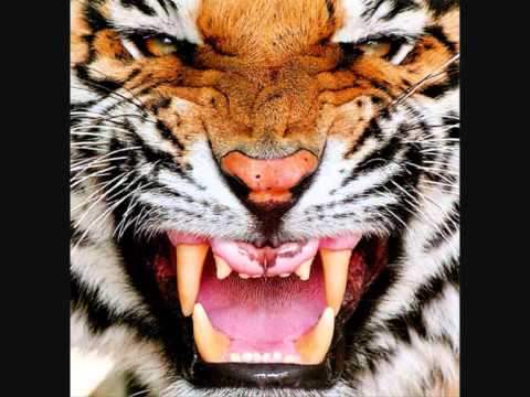 Remix #2 Click Click Boom/Faint!