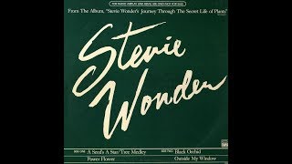 STEVIE WONDER   Power Flower    R&amp;B