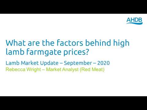 What are the factors behind high lamb farmgate prices?...