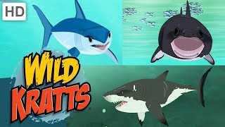 Wild Kratts 🦈🌊 Sharks: Predator and Prey | Shark Week | Kids Videos