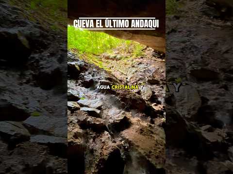 ¿Conocías este paraíso en Caquetá? 🌿 El Ecoparque El Edén Dorado te sorprenderá