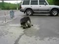 Наша встреча случайна не случаен финал 