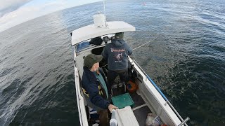 I Get Out Fishing on the Ocean again! & What’s going on in the woodland ?