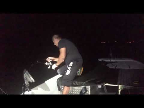 Wels-fischen live Drill. Wallerangeln. Mit dem C1 von Catwood-Live.de