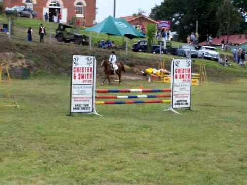my horse polo showjumping *FOR SALE