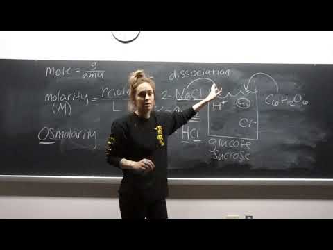 BI207 - Lab 2 - Diffusion & Osmosis
