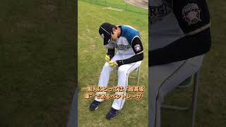 大谷翔平が3600万円超えの高級車を購入Porscheアンバサダーが乗り換えた真相にネット騒然