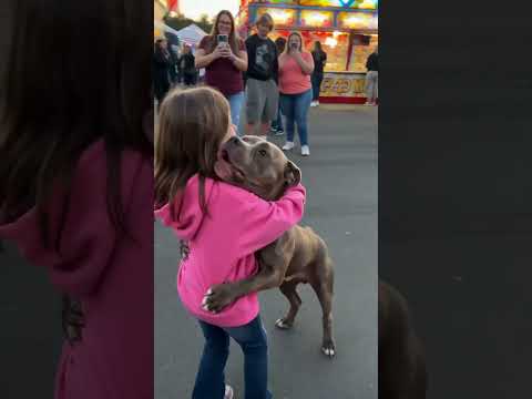 Pit Bull rushes in for a heartfelt reunion at the county fair