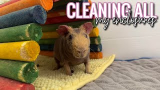 Cleaning My Pets Enclosures | Timelapse