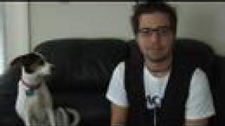 My Dog Ate My Passport!