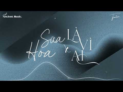 HOA SỮA X LÀ VÌ AI - HUEX X TOMTOM REMIX