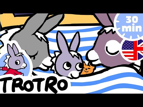 TROTRO BEST MOMENTS | 🤫 Trotro has to keep the noise down! 🤫