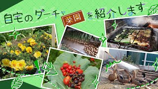 【田舎で自給自足】ウラジオストクの自宅のダーチャ(菜園)を紹介します。野菜や果物、花がいっぱいです☆