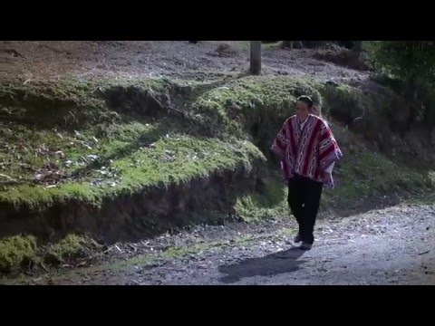 PERDONAME  DIOS MIO  -  (CORO  LA  VID  VERDADERA)