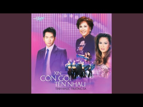 Xin yêu nhau dù mai nữa Sheet - Lưu Bích